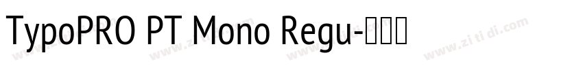 TypoPRO PT Mono Regu字体转换